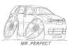 mr.perfect